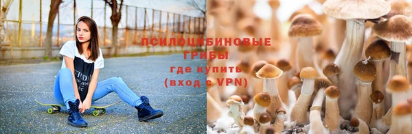 метадон Алексин